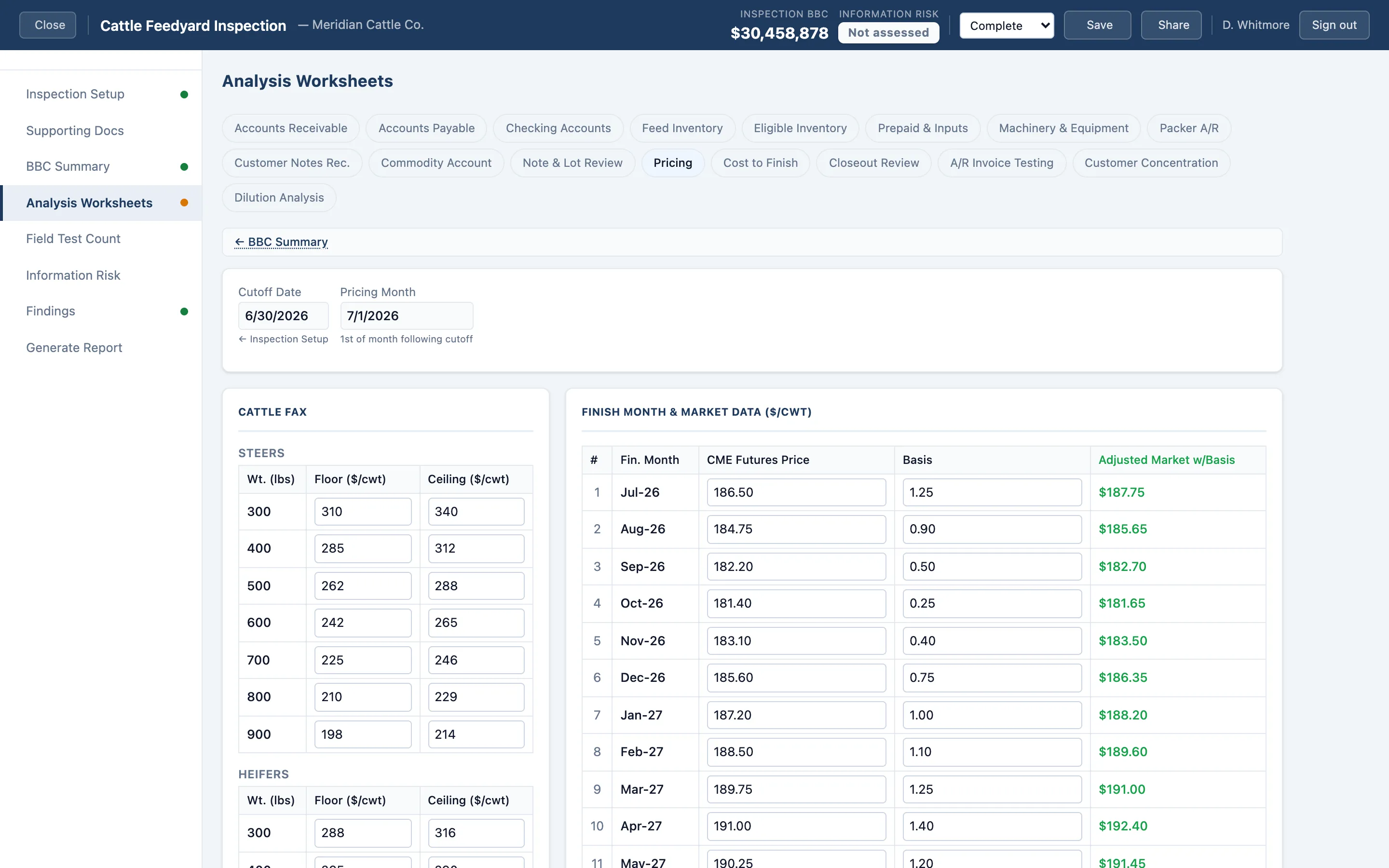 The Pricing worksheet, holding the futures curve and cattle-type discounts that drive lot valuation.
